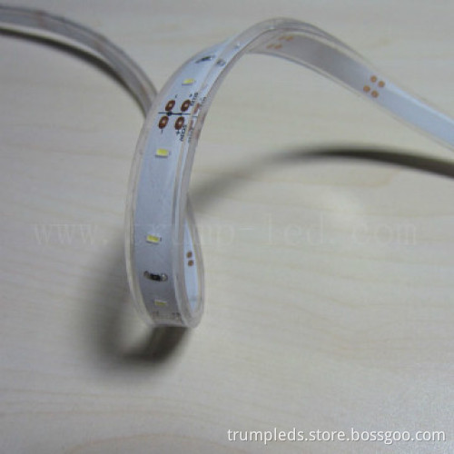 Shenzhen price 12v automotive smd 3014 2700k led strip lights